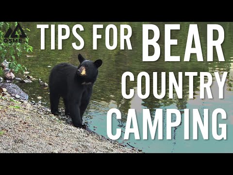 Tips for Bear Country Camping | Outdoor Skills | OSMEtv