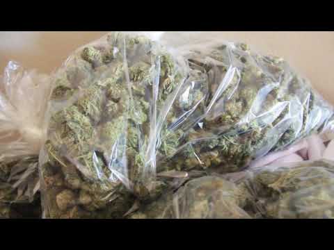 Roccy Ganz x Mr Finnesin “That 1 Bag”