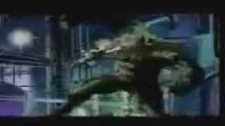 DBZ - CAMOUFLAGE  NINJAS (KILLARMY)