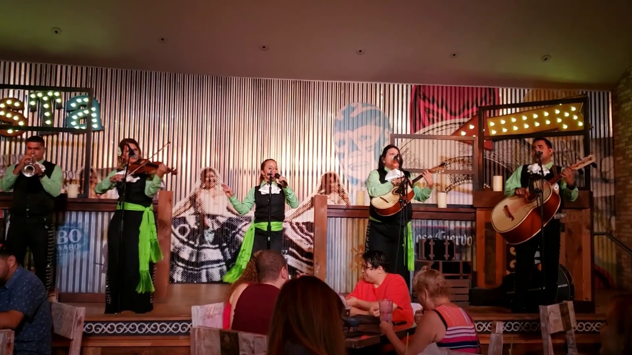 Promotional video thumbnail 4 for Musica para toda ocasion y convenciones