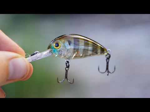This Little Lure Saved A Bad Weeks Fishing