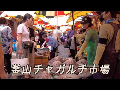 [Cidade de Seul] 🇰🇷 Busan Jagalchi Market Tour / Coreia Viagens Busan Viagens Ponto turístico Red Light District Viagens Downtown Área de entretenimento Bar Bar Loja de bebidas