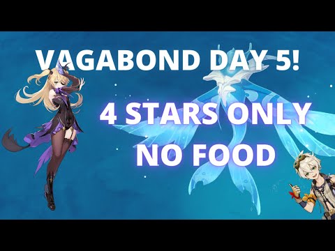 Legend of Vagabond Sword Day 5 max score| 4 Stars characters/weapon only | No food | Bennefischl