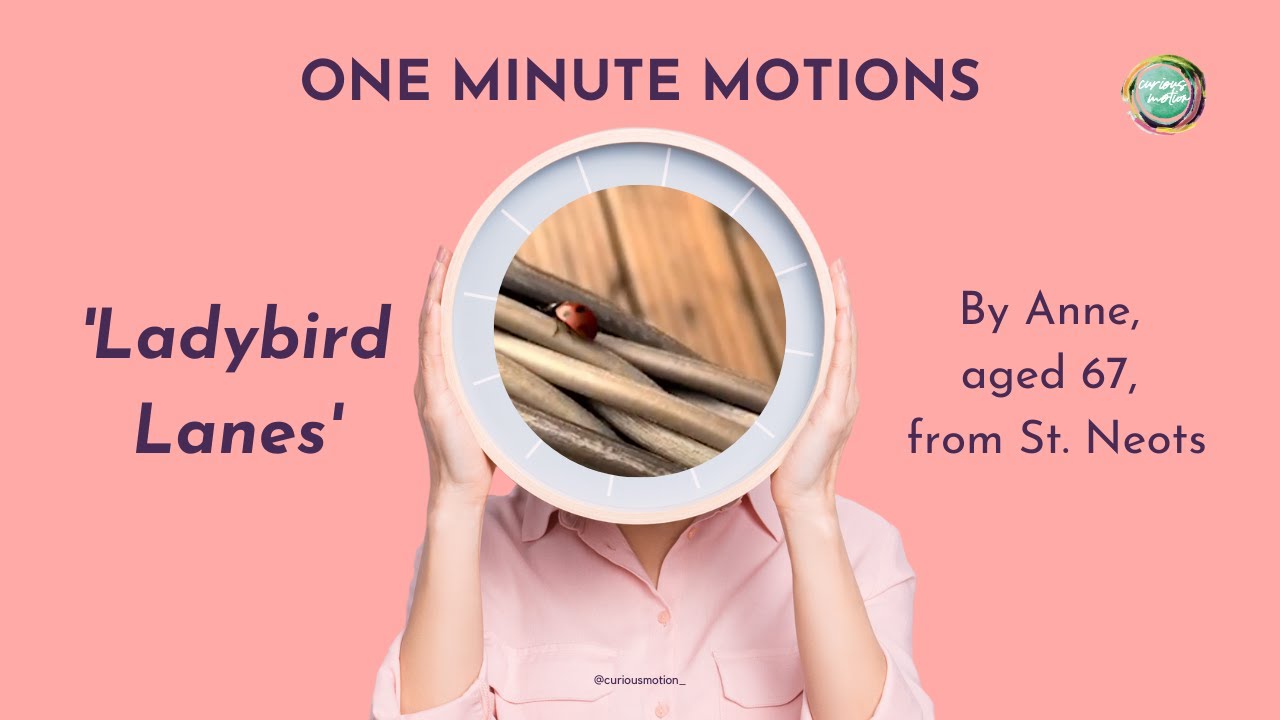 'Ladybird Lanes' - One Minute Motions