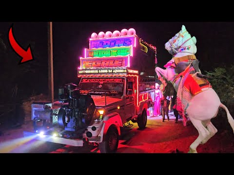 स्पेशल घोड़ी डांस 2025- Horse Special Dance 2025 !! Kamar Ko Pasino- Perfume Lagave Chunni Main Song