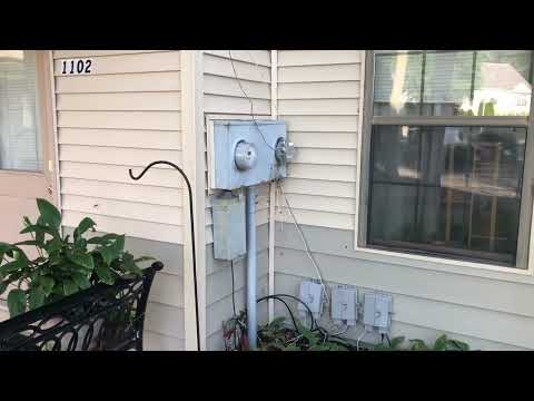 Exterminating Two Bald-Faced Hornets Nest in Jackson, NJ