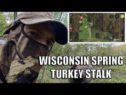 1 MILE TURKEY STALK || Afternoon Turkey Hunting [Wisconsin Turkey Hunting]