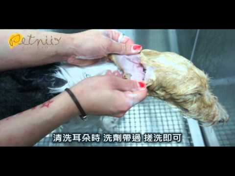 如何幫寶貝們洗澡~~~~(原發表者:巧克力家)(環境管理)