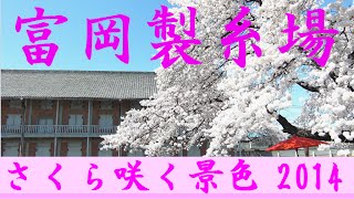 preview picture of video '富岡製糸場の桜咲く景色～ライトアップ(HD) 祝 世界遺産登録 Tomioka Silk Mill and Related Sites 富岡製糸場と絹産業遺産群'