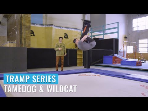 Cноуборд Tramp Series — Ep. 28: Tamedog & Wildcat (Flips)