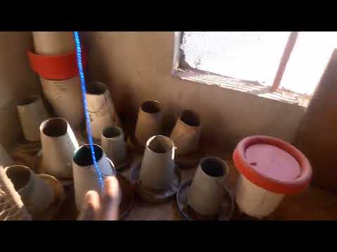 How To Prepare A Poultry House