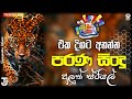 Sha Fm Sindu Kamare 2024 Old Sinhala Songs 2024 New Nonstop New Live Nonstop 2024 Live Show