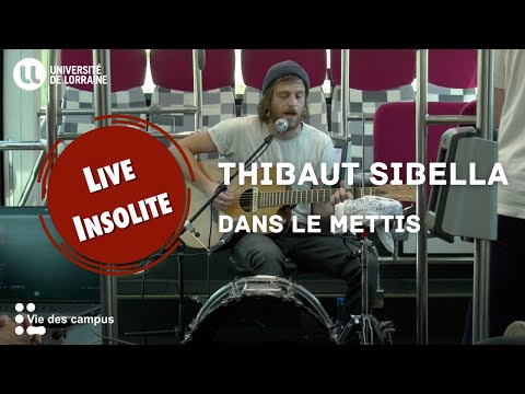 🎵 LIVE INSOLITE : Thibaut Sibella