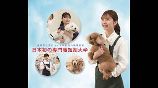 ヤマザキ動物看護専門職短期大学 | 学校案内、資料請求はコチラ