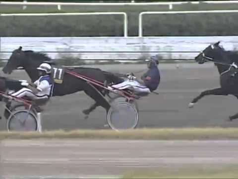 Trotto 12/06/2014 Corsa 8