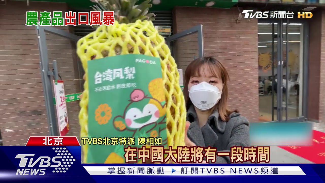 陸禁台鳳梨 剩3%水果湊不滿貨櫃、檢疫變難