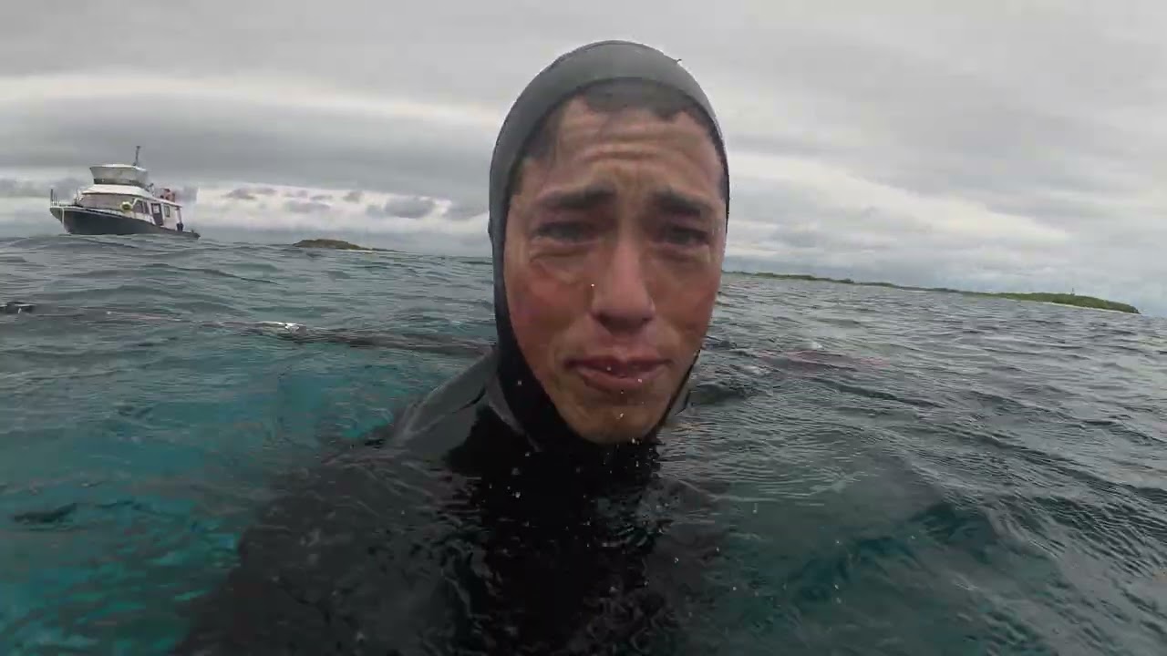 Diver Gets "Slapped" by Sea Turtle || ViralHog