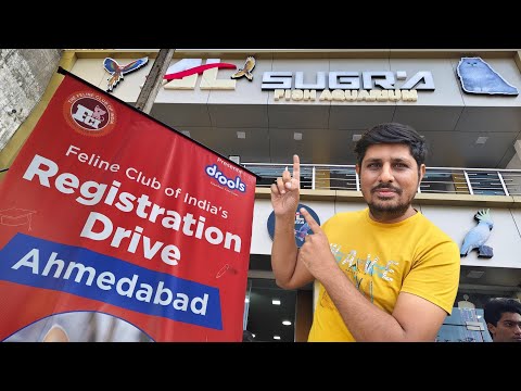 Cat Registration Drive in Ahmedabad by FCI | Live Video by Pet Guruji 