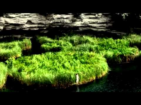 Casa Voladora  -  Bebu Silvetti