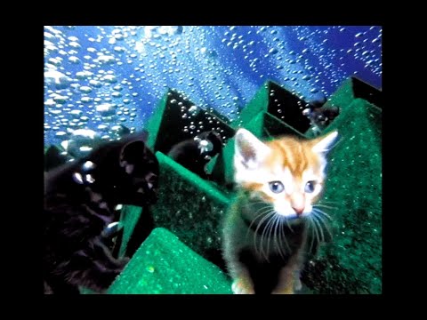 *FREE MELODY LOOP KIT* lucki + ambient + sahbabii + nostalgic + redda type loops ~ reality | 2026 ♪