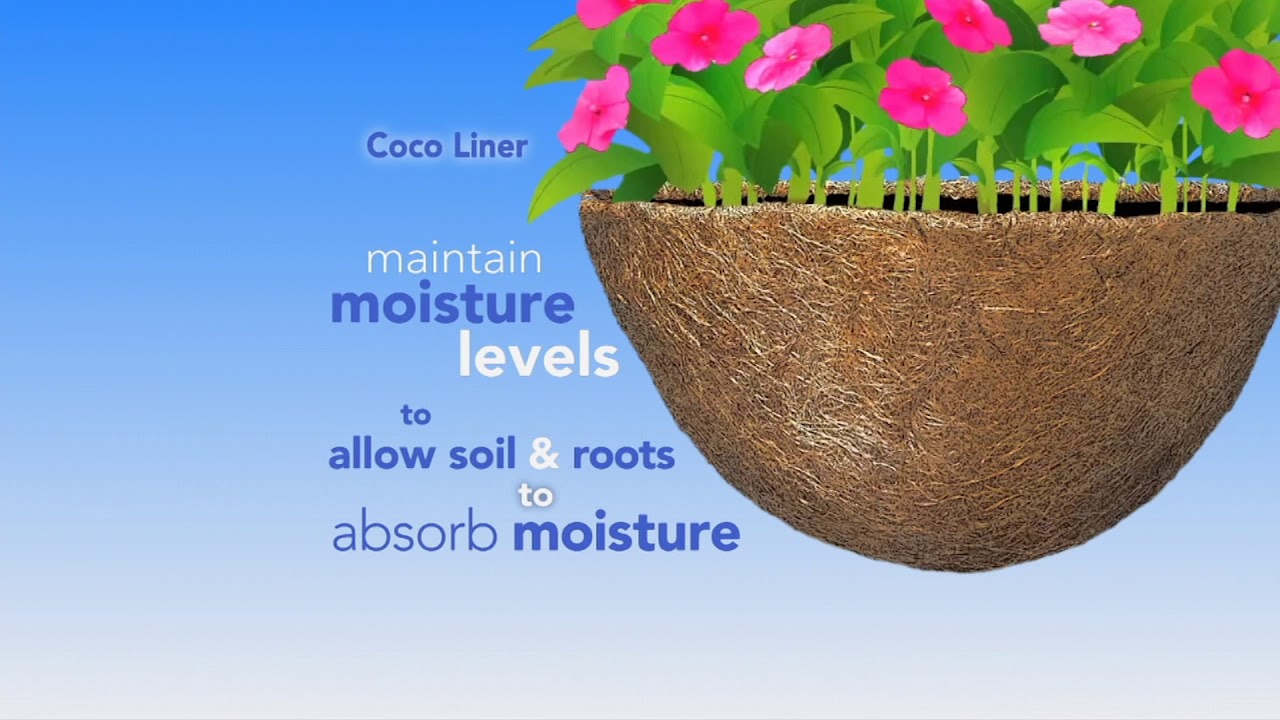 Our Smart Solutions WaterSaving Urn   Hanging Basket AquaSav Coco liner more information
