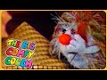 The Dust Bunnies Find A Lost Hat The Big Comfy Couch
