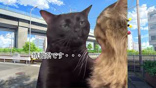 運送系の日雇いに性懲りもなく行ってみた。【猫ミーム】
