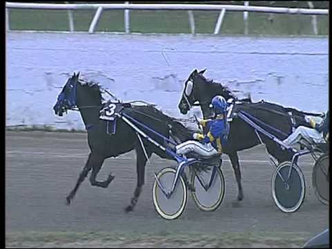 Trotto 01/10/2015 - 3° corsa