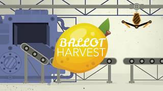 Ballot Harvest: The Fix Is In