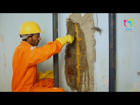 Building Structural Repair Service