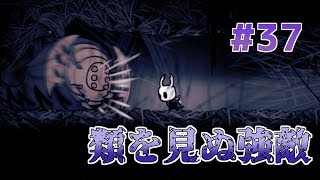 【実況】一匹のムシと滅びゆく王国の物語＃３７【Hollow Knight】