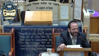 הרב אליהו פנחסי | כשרות הפטריות | מוסאיוף (בית הכנסת מוסאיוף) - התמונה מוצגת ישירות מתוך אתר האינטרנט יוטיוב. זכויות היוצרים בתמונה שייכות ליוצרה. קישור קרדיט למקור התוכן נמצא בתוך דף הסרטון