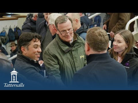 Tattersalls December Mare Sale Day 2 Review 2024