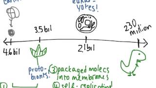 History of Life (worked example)
