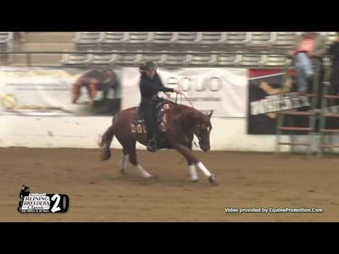 Xtra Taris Voodoo ridden by Marie Kleiner  - 2017 NRBC (Open Finals, Sec. 1)
