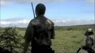 Argentina Dove Hunting 2008 - Part 2 of 2