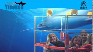 DIA 2 Expo Tiburon228