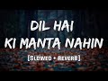 Dil Hai Ki Manta Nahin Reverb Mood 90 S