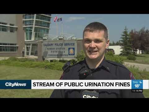 Steady stream of public urination fines