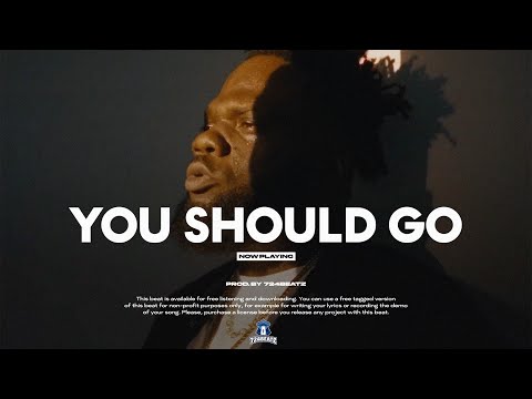 Dancehall Instrumental 2024 "You Should Go" Chronic Law Type Beat