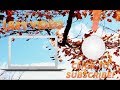 PRE-MADE ANIMATED FALL OUTRO TEMPLATES | 2018
