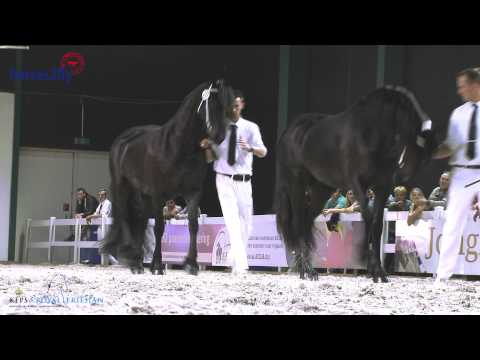 KFPS Algemeen kampioenschap CK2014