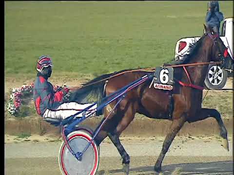 Trotto 16/02/2018 - 2ª corsa