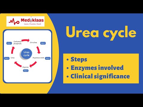 Urea cycle biochemistry