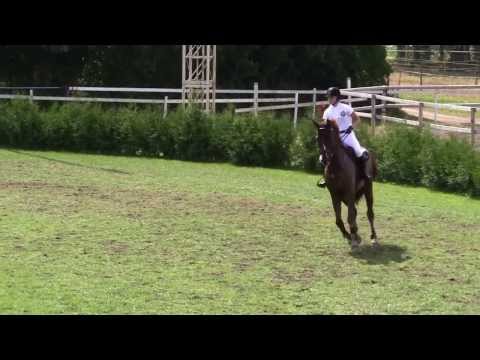 Munka-Ljungby, 130803,  nat.125 cm