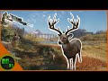 Crossbow Hunting Whitetail Deer During The RUT Call Of The Wild