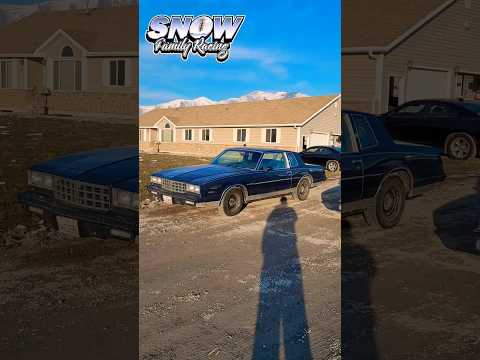 G Bodies Everywhere!