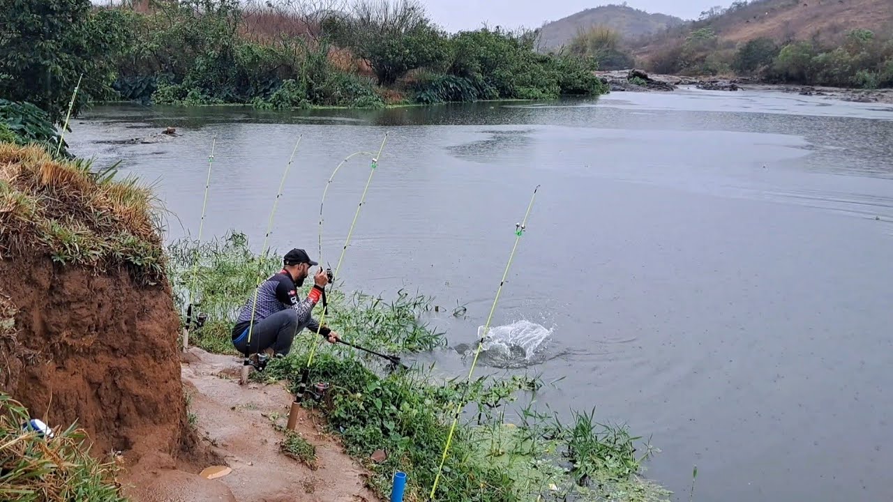 Pescaria de carpa e curimba selvagens! Essa foi a maior do poço das gigantes