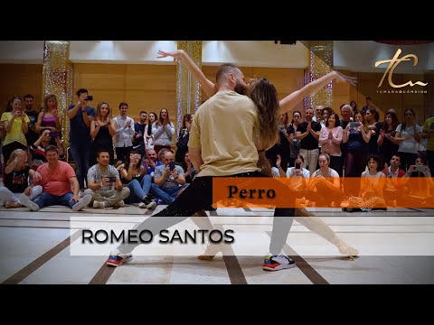 TamarayCándido - Perro - Albacete SBK Festival 2022 - BACHATAEMOTION (Full Video)