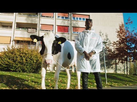 Kingzer - Franc Suisse (Clip Officiel)